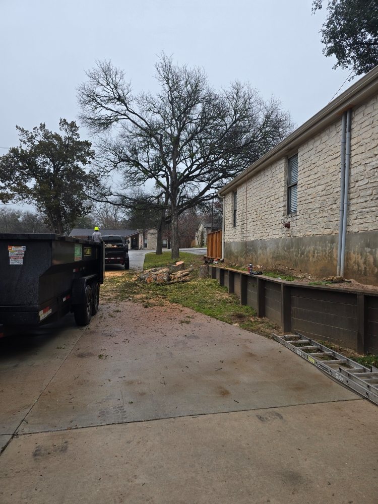 The same side yard after the cedar elm was removed and cleaned up
