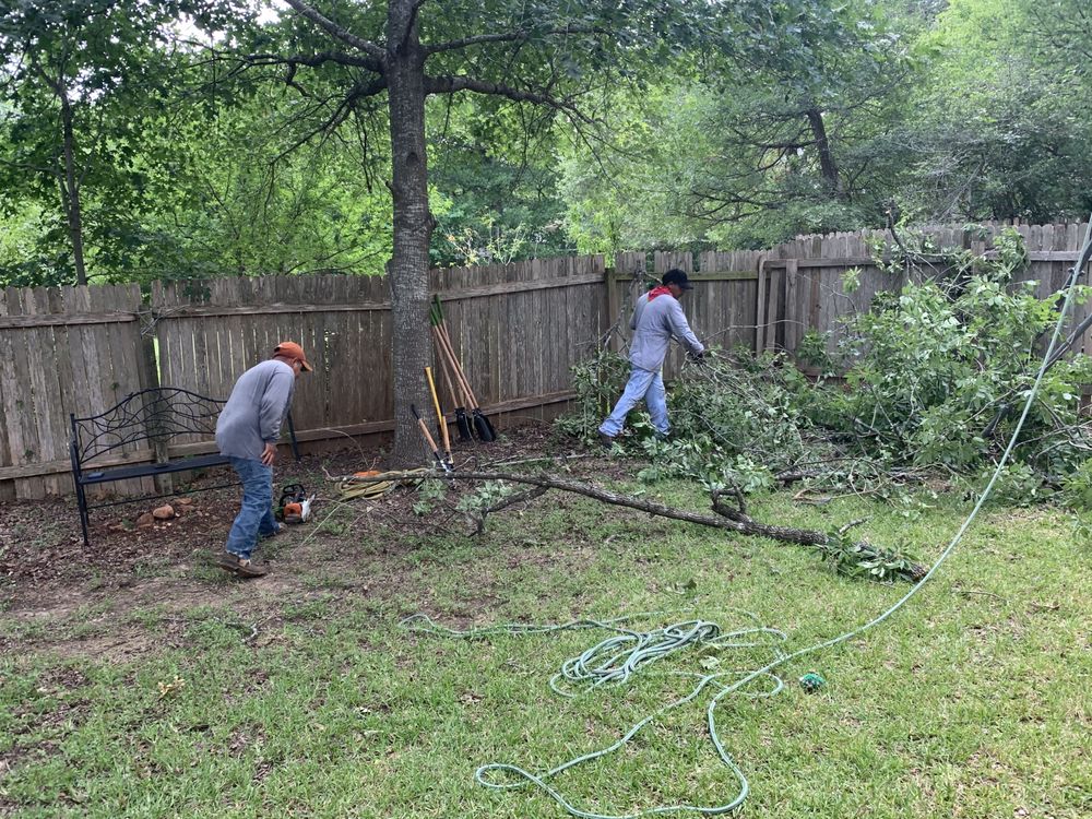 Crew member clearing cut branches in a backyard